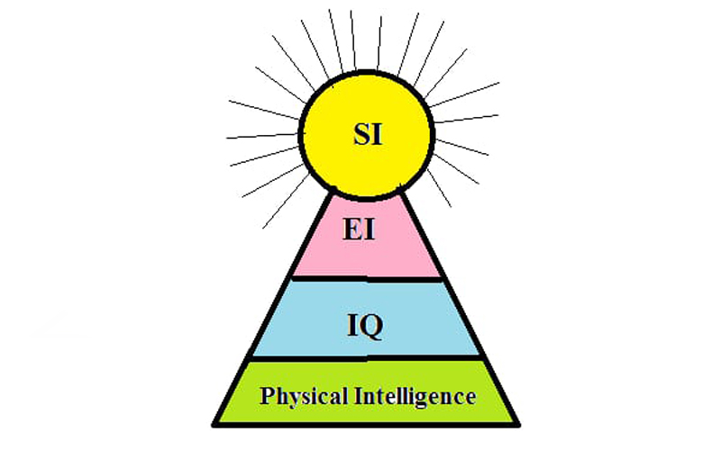 Image for An understanding of Spiritual Intelligence (SI) from Vedanta